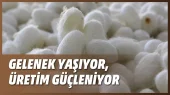 Gelenek Yaşiyor, Üreti̇m Güçleni̇yor