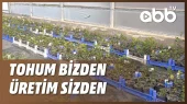 Tohum Bi̇zden Üreti̇m Si̇zden